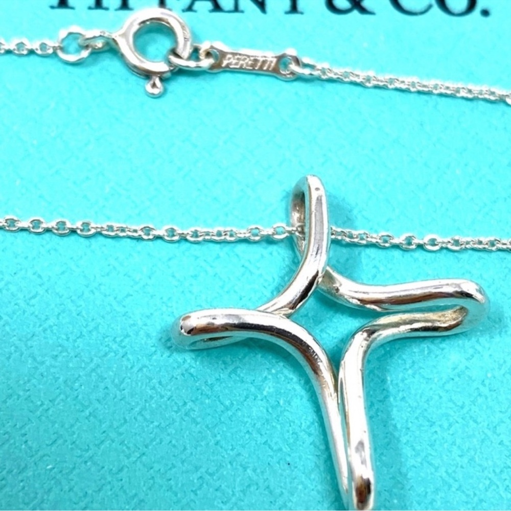 Authentic Tiffany & Co. Elsa Peretti Silver Infinity Necklace - Picture 8 of 15